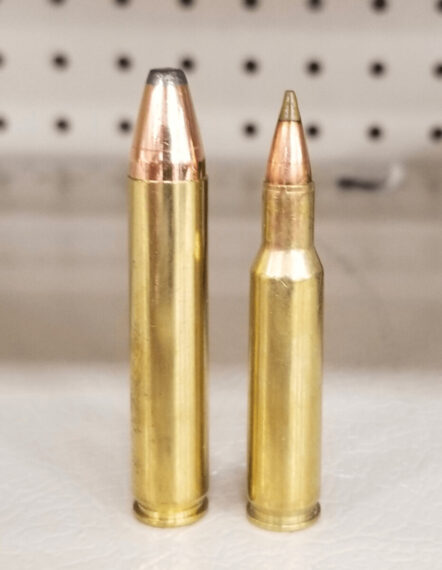 .350 Legend and 5.56x45
