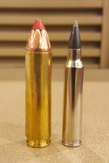.450 Bushmaster and .223 Remington
