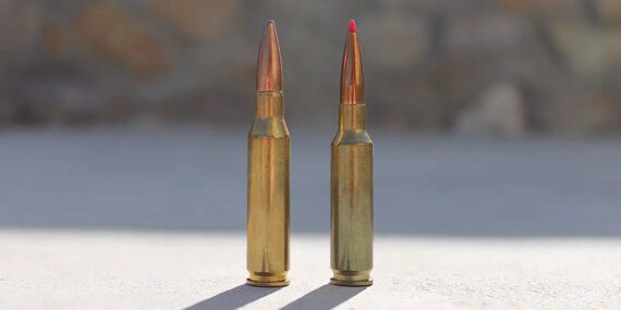 7mm-08 Remington (left) and 6.5 Creedmoor (right)