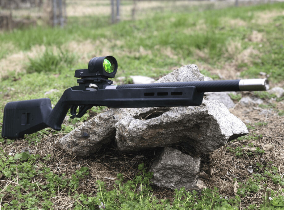 Ruger 10/22