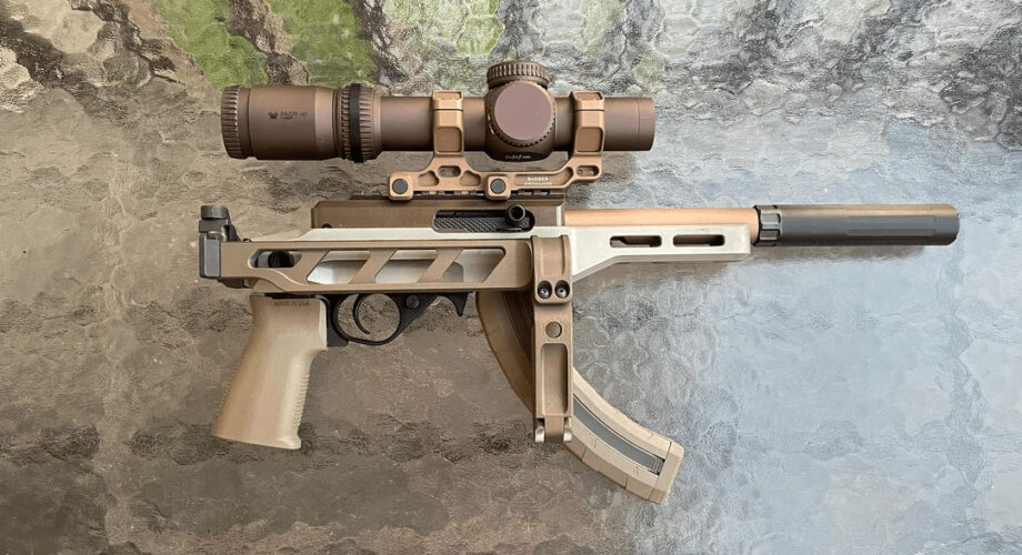 "10/22" Without Any Ruger Parts
