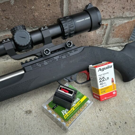 .22 LR ammo