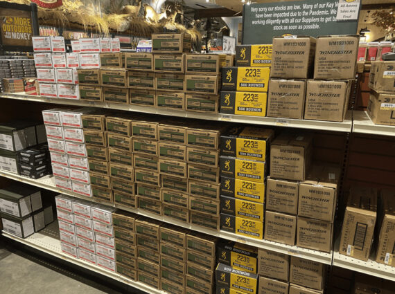 ammo shelves