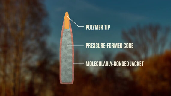 Federal Fusion Tip