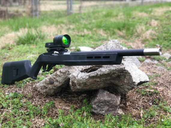The Ruger 10/22