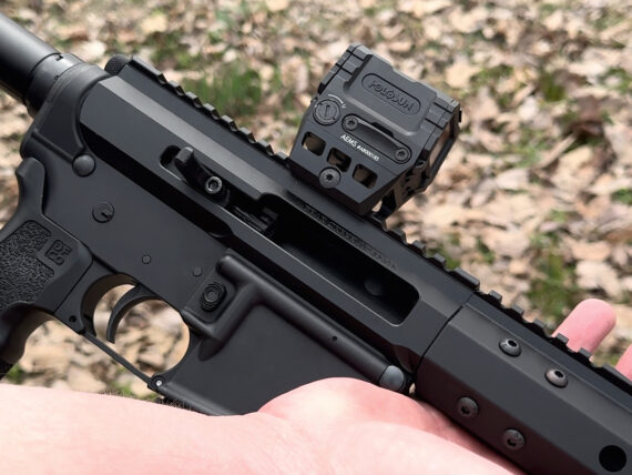AEMS (Advanced Enclosed Micro Sight)