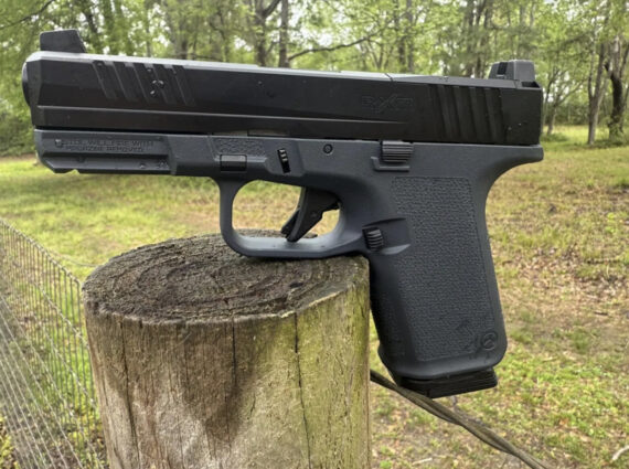 Ruger RXM