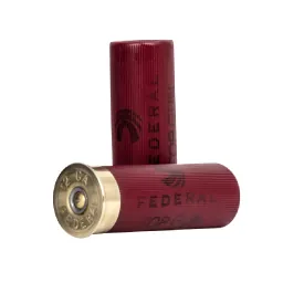 12 Gauge Ammo
