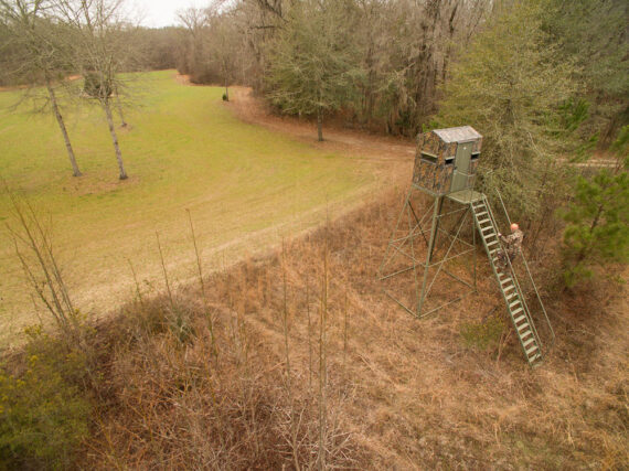 Prep the Hunting Location