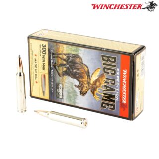 Winchester Expedition Big Game .300 Winchester Magnum 190gr AccuBond Ammo
