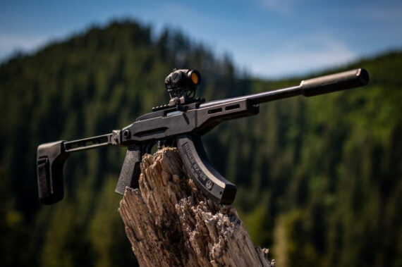 Ruger 10/22