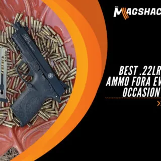 Best .22LR Ammo Fora Every Occasion