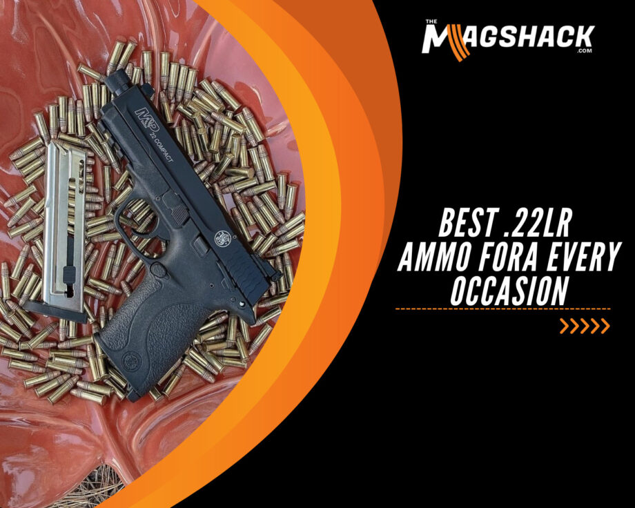 Best .22LR Ammo Fora Every Occasion